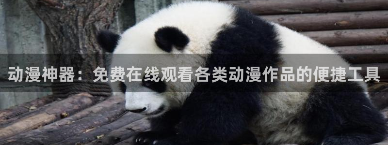 omofun官方版下载：动漫神器：免费在线观看各类动漫作品的便捷工具