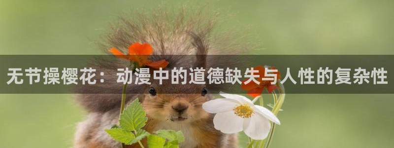 omofun苹果自签
