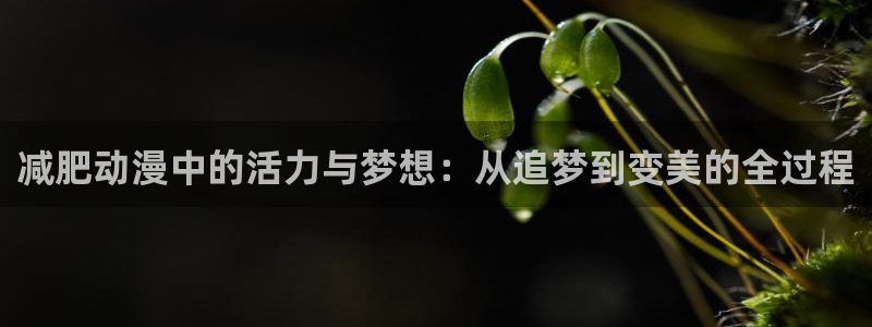 苹果omofun网页版入口：减肥动漫中的活力与梦想：从追梦到变美的全过程