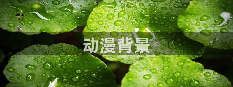 omofun的官网：动漫背景