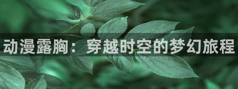 omofun在线观看动漫：动漫露胸：穿越时空的梦幻旅程