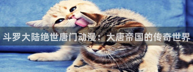 .omofun：斗罗大陆绝世唐门动漫：大唐帝国的传奇世界