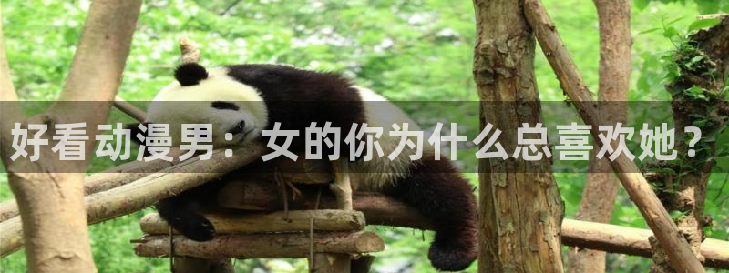 omofun怎么自签：好看动漫男：女的你为什么总喜欢她？