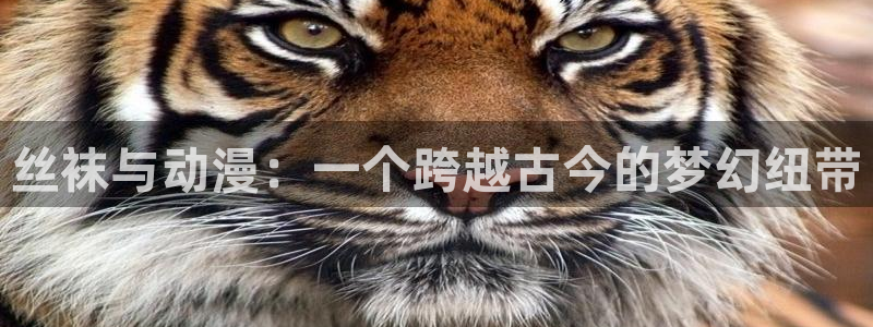 omofun动漫在线：丝袜与动漫：一个跨越古今的梦幻纽带