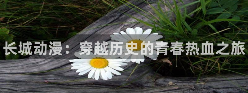 omofun吗：长城动漫：穿越历史的青春热血之旅