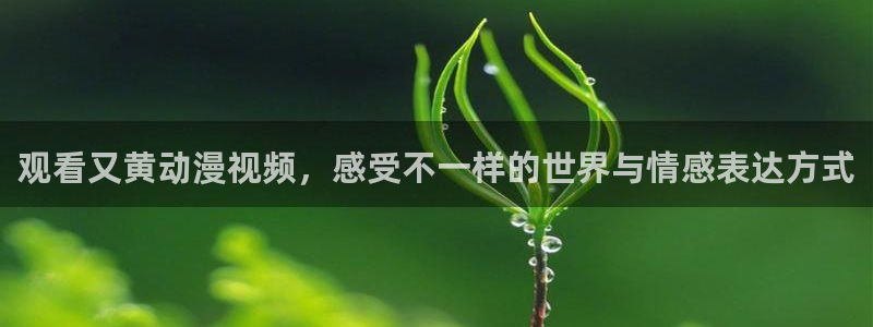 omofun是什么：观看又黄动漫视频，感受不一样的世界与情感表达方式