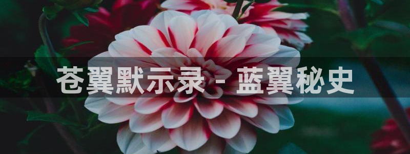 omofuns：苍翼默示录 - 蓝翼秘史