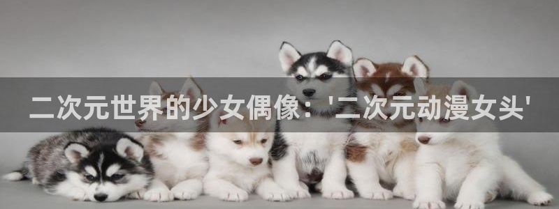omofun动漫官网下载