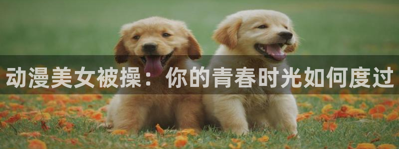 omofun.cn