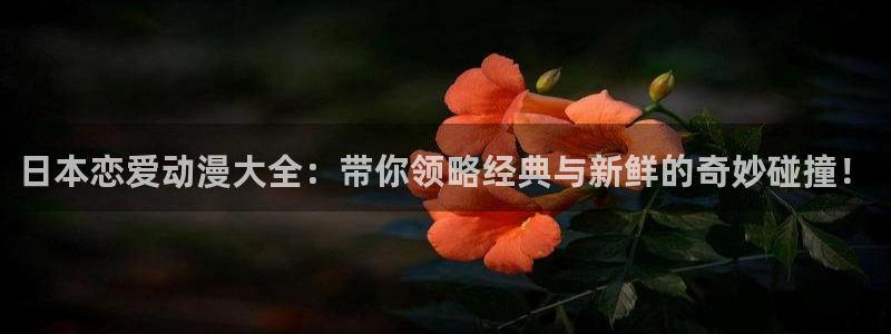 omofun动漫官网最新版