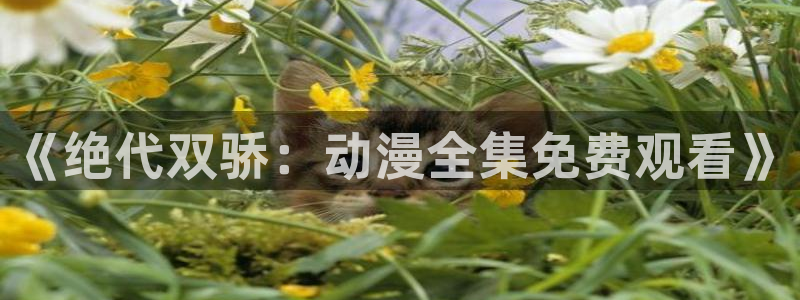 omofun动漫下载苹果