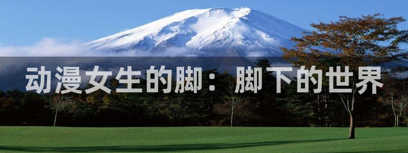 omofun轻量版