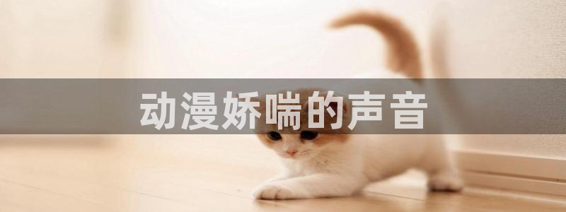 omofun动漫官网下载ios