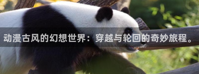 omofun怎么下