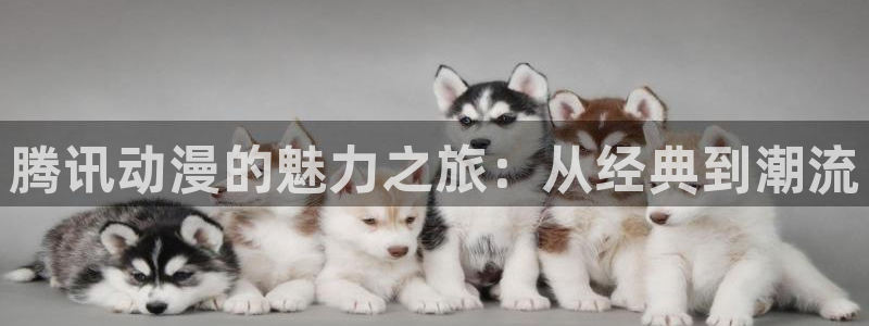 omofun动漫在哪下载