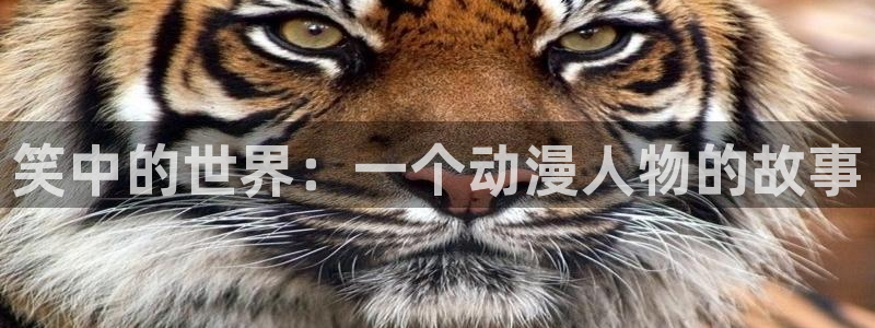 omofun完整版