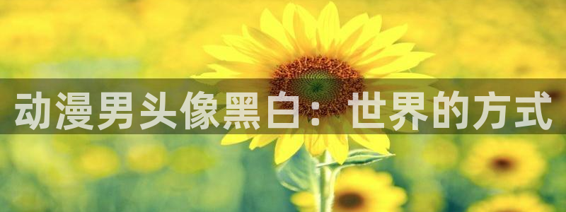 omofun官网入口苹果